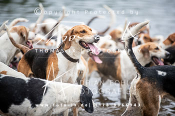 01 - Meutearbeit Horn