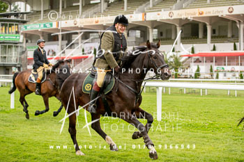 01 - Meutearbeit Horn