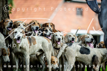 02 - Schleppjagd Steinhorst