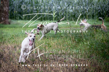 03 - Schleppjagd Rittergut Schnellenberg