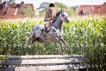 06 - Jagd Rohlfshagen 06 - Jagd Rohlfshagen