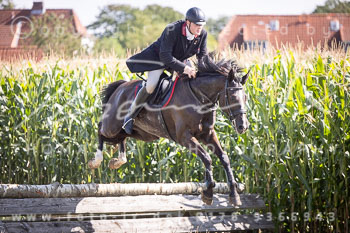 06 - Jagd Rohlfshagen