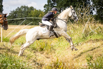 06 - Jagd Rohlfshagen