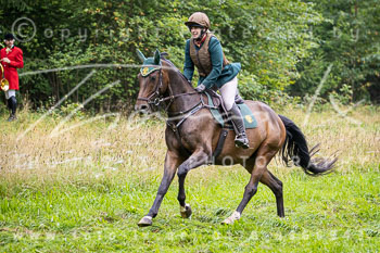 07 - Jagd Dreilingen 07 - Jagd Dreilingen
