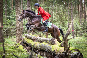 07 - Jagd Dreilingen