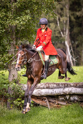 07 - Jagd Dreilingen