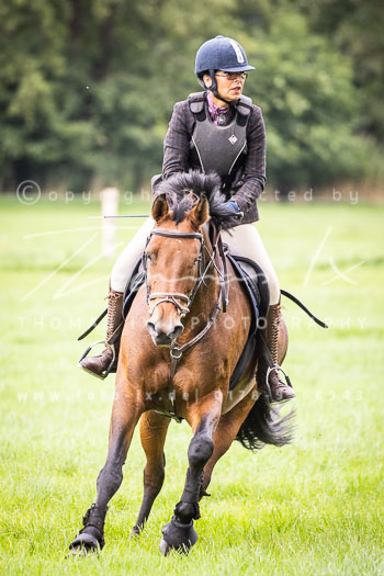 09 - Jagd Völkersen