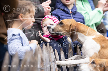 10 - Jagd Mechtersen