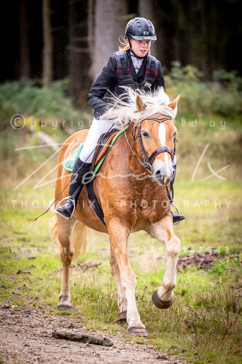 12 - Sko-Jagd Rehrhof