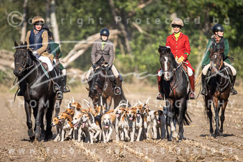 13 - Jagd Heitlingen