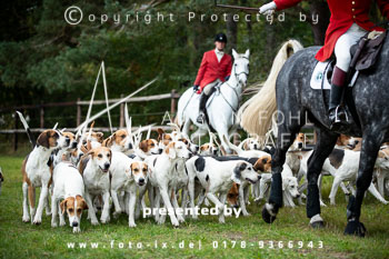 14 - Cross Country Jesteburg