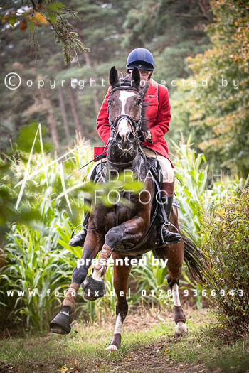 14 - Cross Country Jesteburg