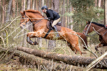 15 - Grenzlandjagd Schmölau