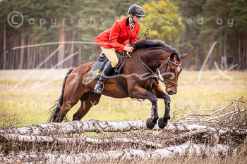 15 - Grenzlandjagd Schmölau