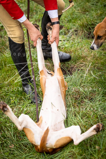 15 - Grenzlandjagd Schmölau