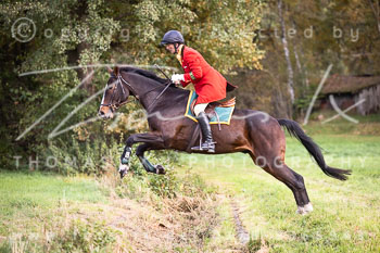 16 - Jagd Ollsen 16 - Jagd Ollsen
