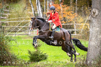16 - Jagd Ollsen
