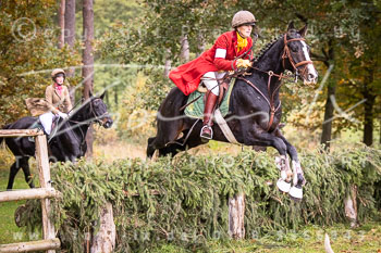 16 - Jagd Ollsen 16 - Jagd Ollsen