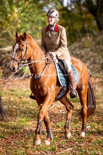 18 - Schleswig-Holstein Jagd Basthorst