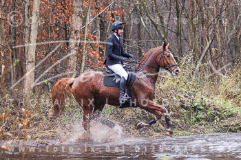 26 - Jagd Ehlbeck