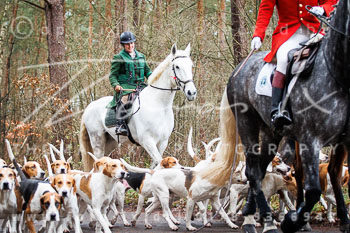 29 - Nikolausjagd Schneeren