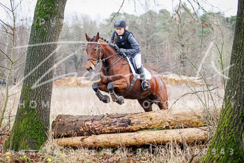 29 - Nikolausjagd Schneeren