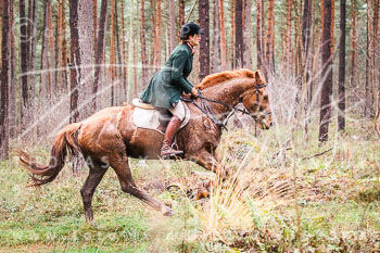 29 - Nikolausjagd Schneeren