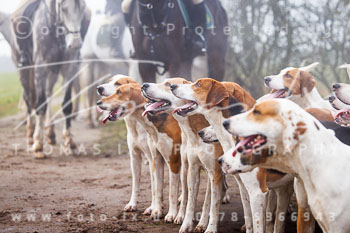 01 - Meutearbeit Jesteburg