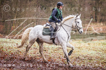 01 - Meutearbeit Jesteburg