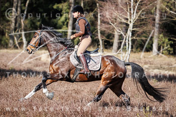 02 - Meutearbeit Rehrhof