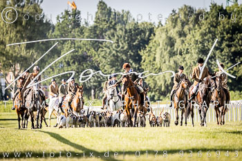 04 - Meutearbeit Horner Rennbahn