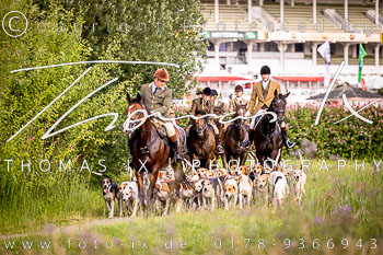 04 - Meutearbeit Horner Rennbahn