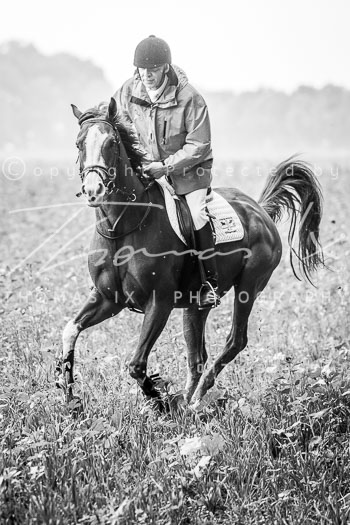 07 - Jagd Völkersen