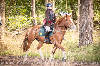 08 - Jagd Mechtersen