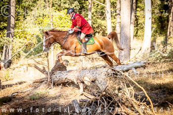 11 - Zwei-Meute-Jagd Rehrhof