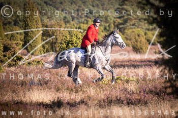 11 - Zwei-Meute-Jagd Rehrhof