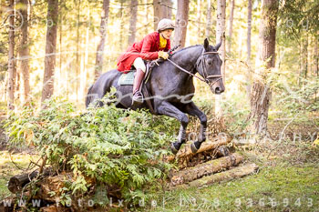 11 - Zwei-Meute-Jagd Rehrhof