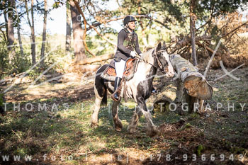 13 - Jagd Meitze
