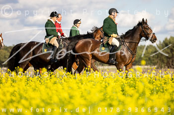13 - Jagd Meitze