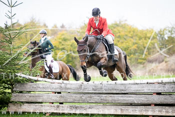 15 - Hubertusjagd Harsefeld