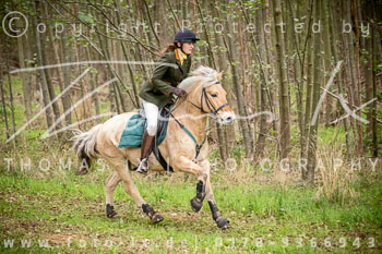 16 - Jagd Isernhagen 16 - Jagd Isernhagen