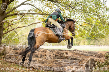 16 - Jagd Isernhagen