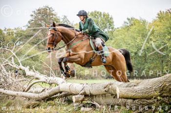 16 - Jagd Isernhagen 16 - Jagd Isernhagen