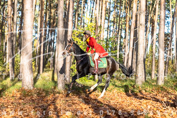 17 - Jagd Kremmen 17 - Jagd Kremmen