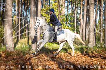 17 - Jagd Kremmen 17 - Jagd Kremmen