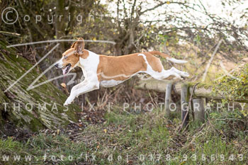 18 - Jagd Thedinghausen