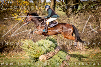 19 - Herbstjagd Sudermühlen