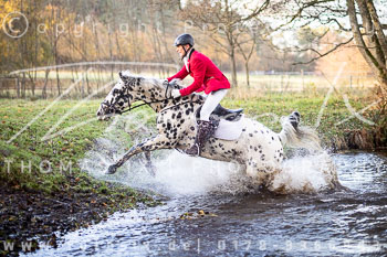 19 - Herbstjagd Sudermühlen