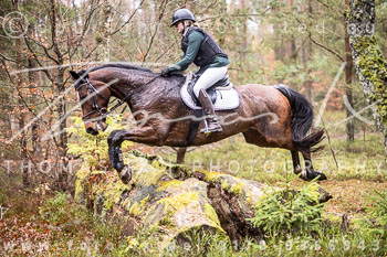 20 Jagd Ehlbeck 20 Jagd Ehlbeck