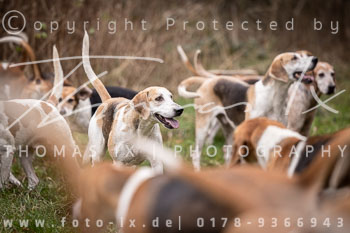 21 - Jagd Wense 21 - Jagd Wense